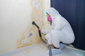 Why You Should Choose Our Mold Remediation Services in Olyphant, PA